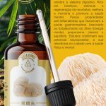 Extratro de cogumelo Juba de leão