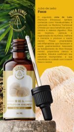 Extratro de cogumelo Juba de leão