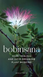 Bobinsana (Calliandra angustifolia)