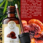 Extrato de cogumelo Reishi (Ganoderma lucidum)