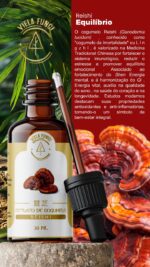 Extrato de cogumelo Reishi (Ganoderma lucidum)