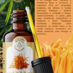 Extrato cogumelo Cordyceps (Cordyceps militaris)
