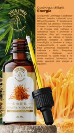 Extrato cogumelo Cordyceps (Cordyceps militaris)