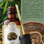 Extrato de cogumelo Turkey Tail (Trametes versicolor)