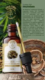 Extrato de cogumelo Turkey Tail (Trametes versicolor)