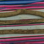 Ucho Sanango (tabernaemontana sananho)